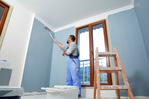 Reliable Pelion, SC Mold Removal Solutions