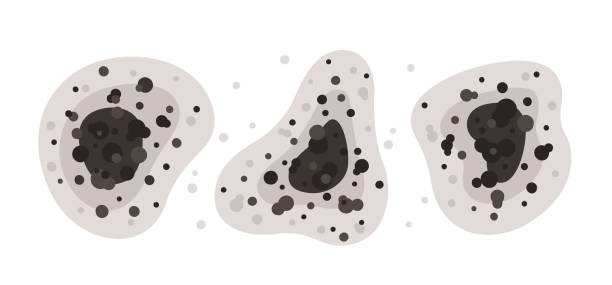 Best Air Quality Testing for Mold Spores  in Pelion, SC
