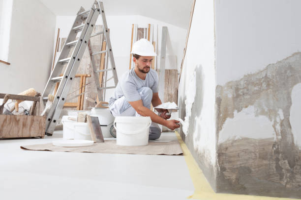 Best Forensic Mold Investigation  in Pelion, SC