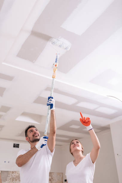 Best Environmental Consulting for Mold Prevention  in Pelion, SC