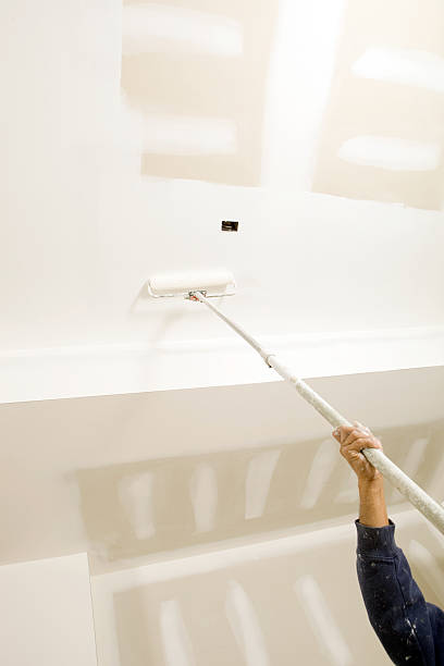 Best Water Damage & Mold Remediation  in Pelion, SC