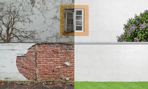 Best Mold Odor Removal Services  in Pelion, SC