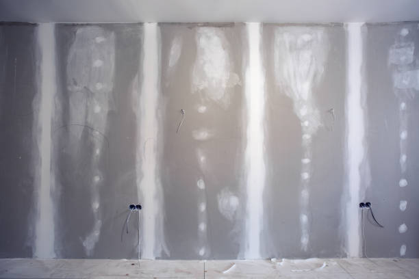 Best Residential Mold Inspection & Testing  in Pelion, SC